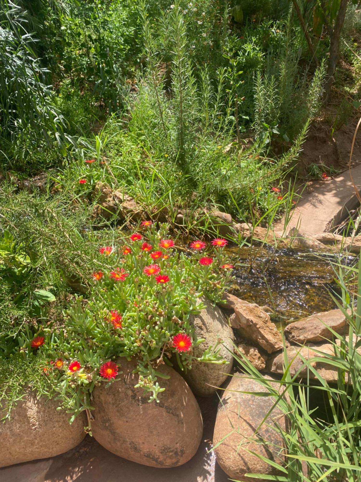 Jardin Sakina - Centre De Bien-Etre & Soins Holistiques - Chambre D'Hotes Bed & Breakfast Marakeş Dış mekan fotoğraf